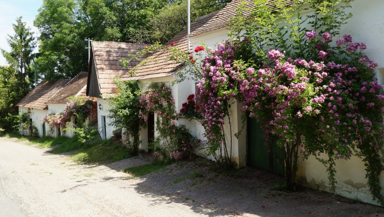 Kellergasse Ameis, © Marktgemeinde Staatz