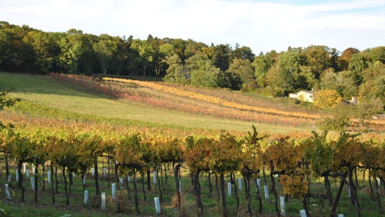 Barmhart Valley, © Gemeinde Maria Enzersdorf