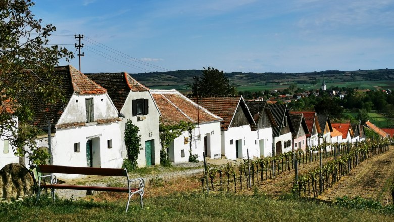 Small cellar drift in Haugsdorf, © Weinstraße Weinviertel