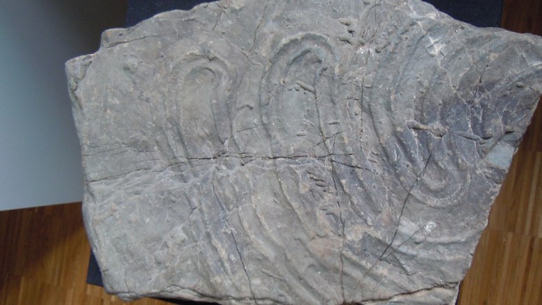 Local history exhibits, © Heimatmuseum Hofstetten-Grünau