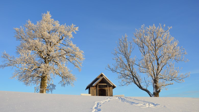 Bright blue sky in winter, © Gottfried & Rosina Wagner