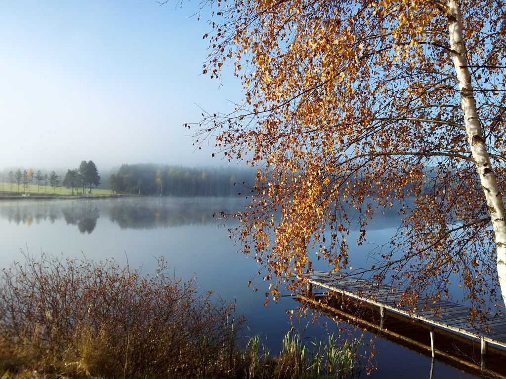 frauenwieserteich-c-broederbauer-qalter4