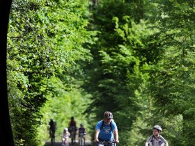 T&uuml;rnitzer Bahnradweg, &copy; Mostviertel