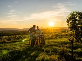 Radfahren im Kamptal, &copy; POV Robert Herbst