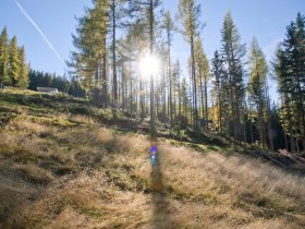 Unterwegs in St. Corona am Wechsel, &copy; Martin Weiner
