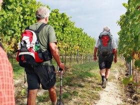 Jakobsweg Donau, &copy; Donau Nieder&ouml;sterreich Tourismus GmbH