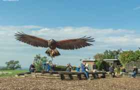 Flugvorführung, © topshot.co.at