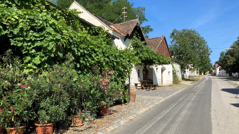 Large cellar drift, © Marktgemeinde Haugsdorf