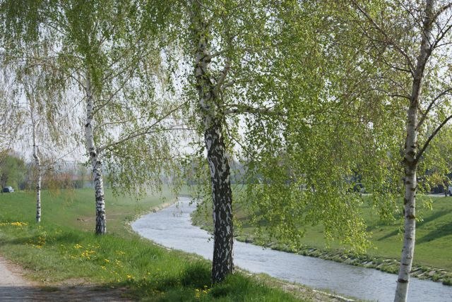 Surroundings, &copy; Mag. Christiana St&ouml;ger