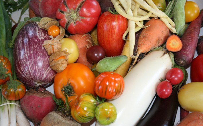 The variety is huge, &copy; Arche Noah