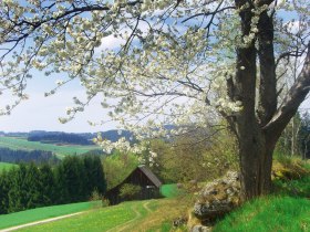 Schindelmacherweg, &copy; Marktgemeinde Sch&ouml;nbach