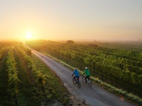 Radfahren im Weinland Traisental, © schwarz-koenig.at