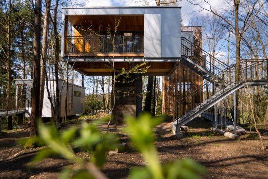 v domku na stromě Schrems, © Baumhaus Lodge Schrems