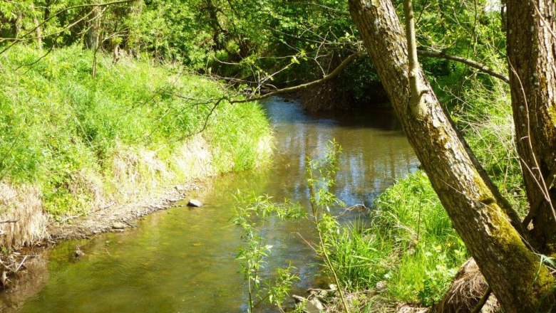 Waldviertel Seminar House Gauguschm&uuml;hle, &copy; Waldviertler Seminarhaus Gauguschm&uuml;hle