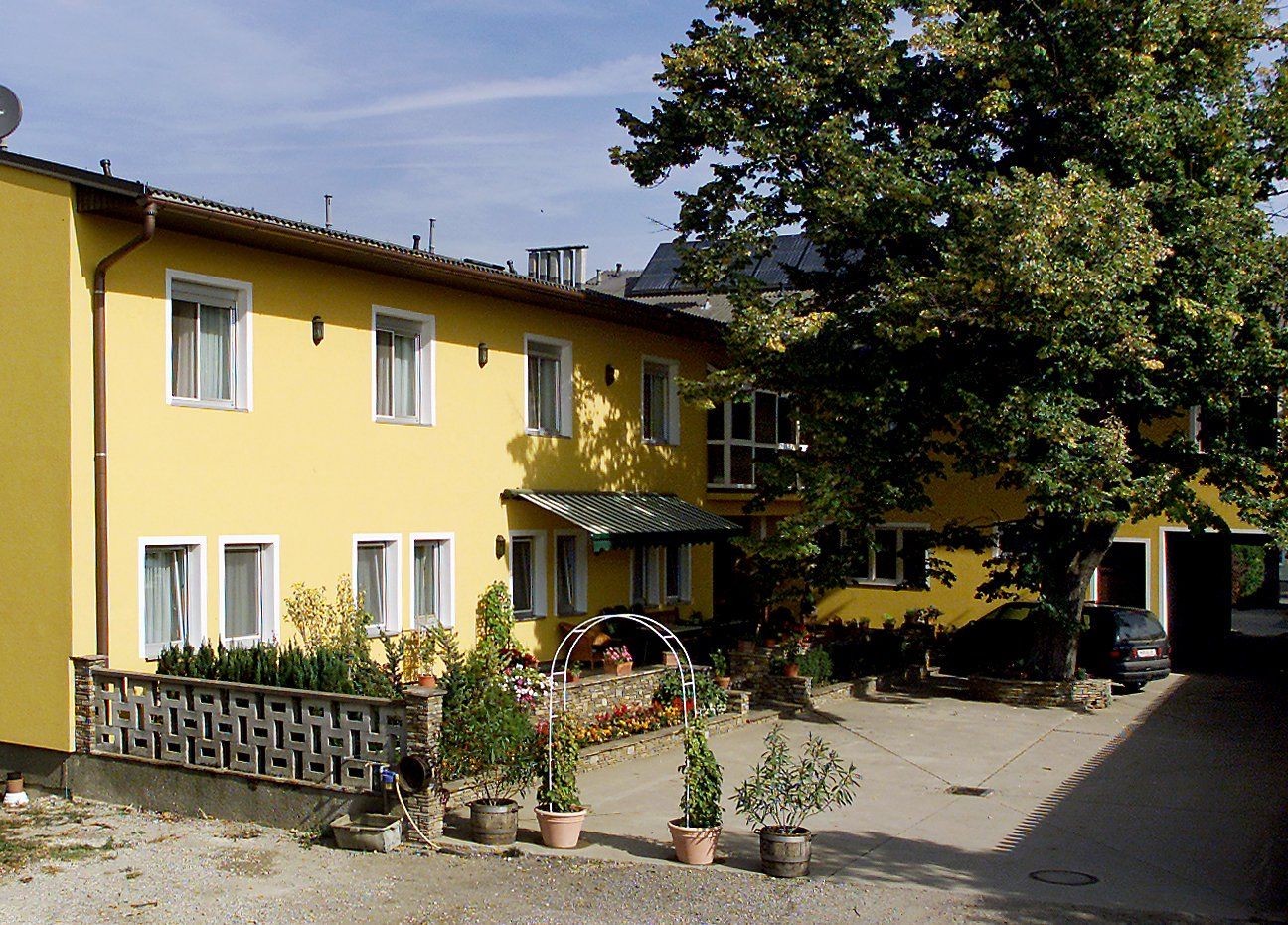 Žlutá budova s několika okny, rostlinami v popředí a velkým stromem vedle ní.