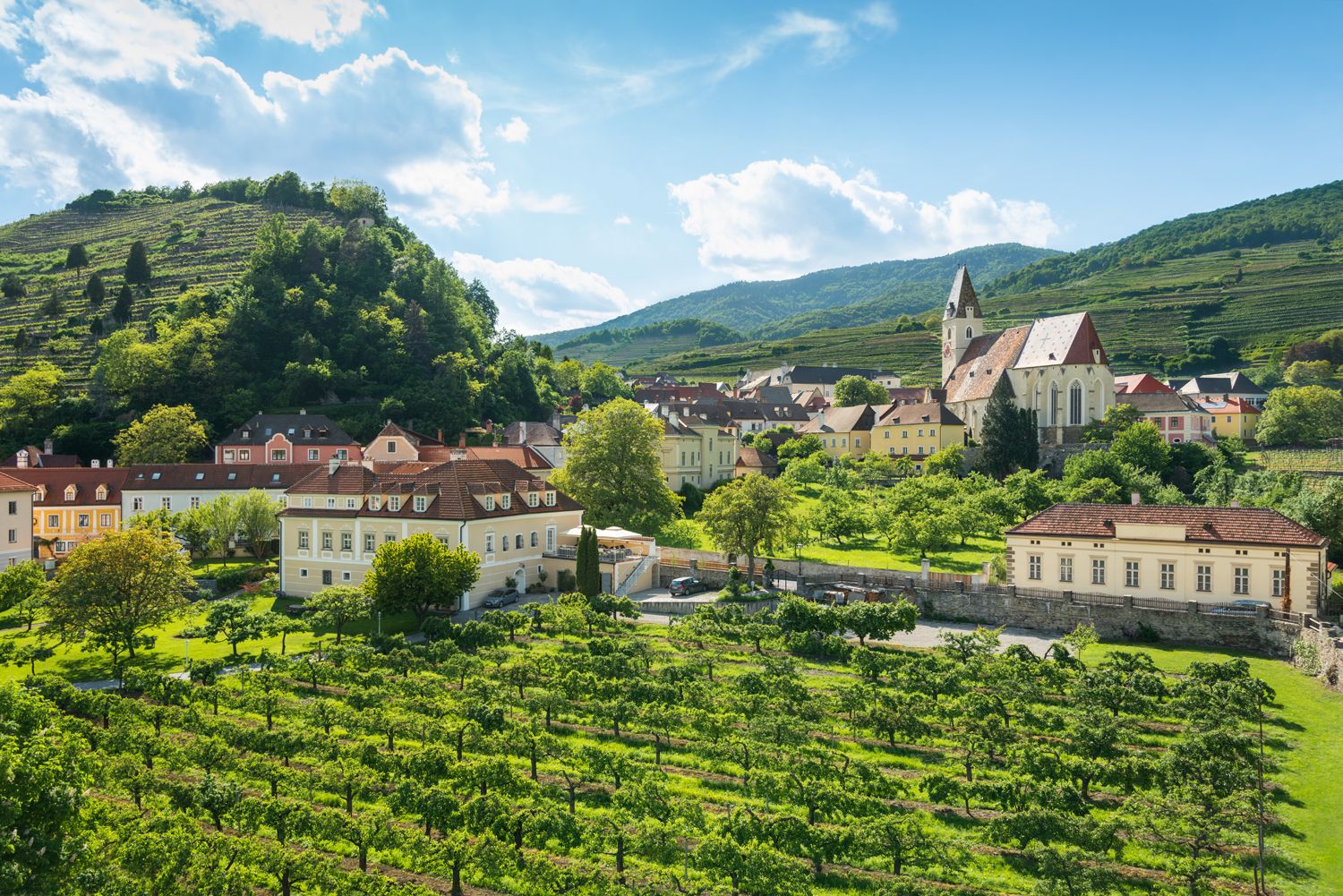 Krajina s vinicemi, kostelem a domy v rakouském Spitzu.