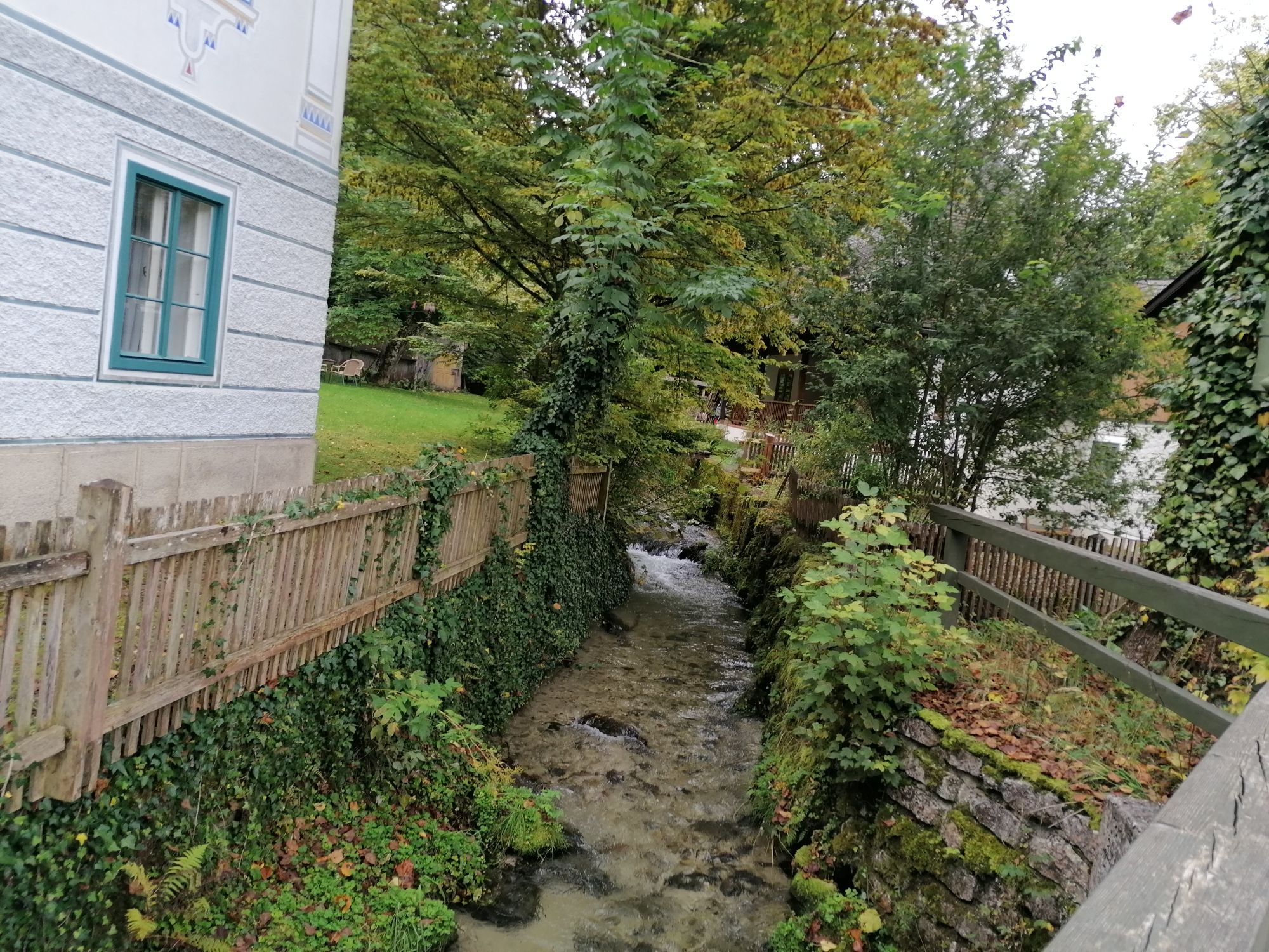 Mezi domem a dřevěným plotem, obklopeným stromy a rostlinami, protéká malý potůček.
