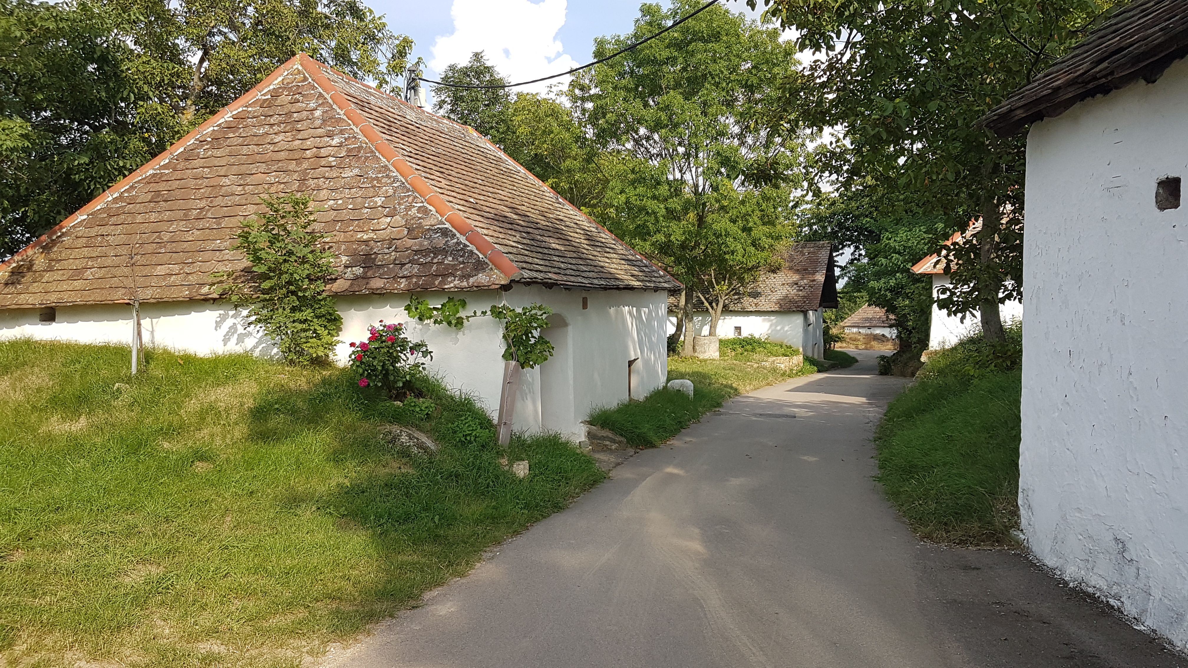 Malebné sklepní uličky s tradičními vinnými sklepy a lisovnami ve venkovském prostředí.