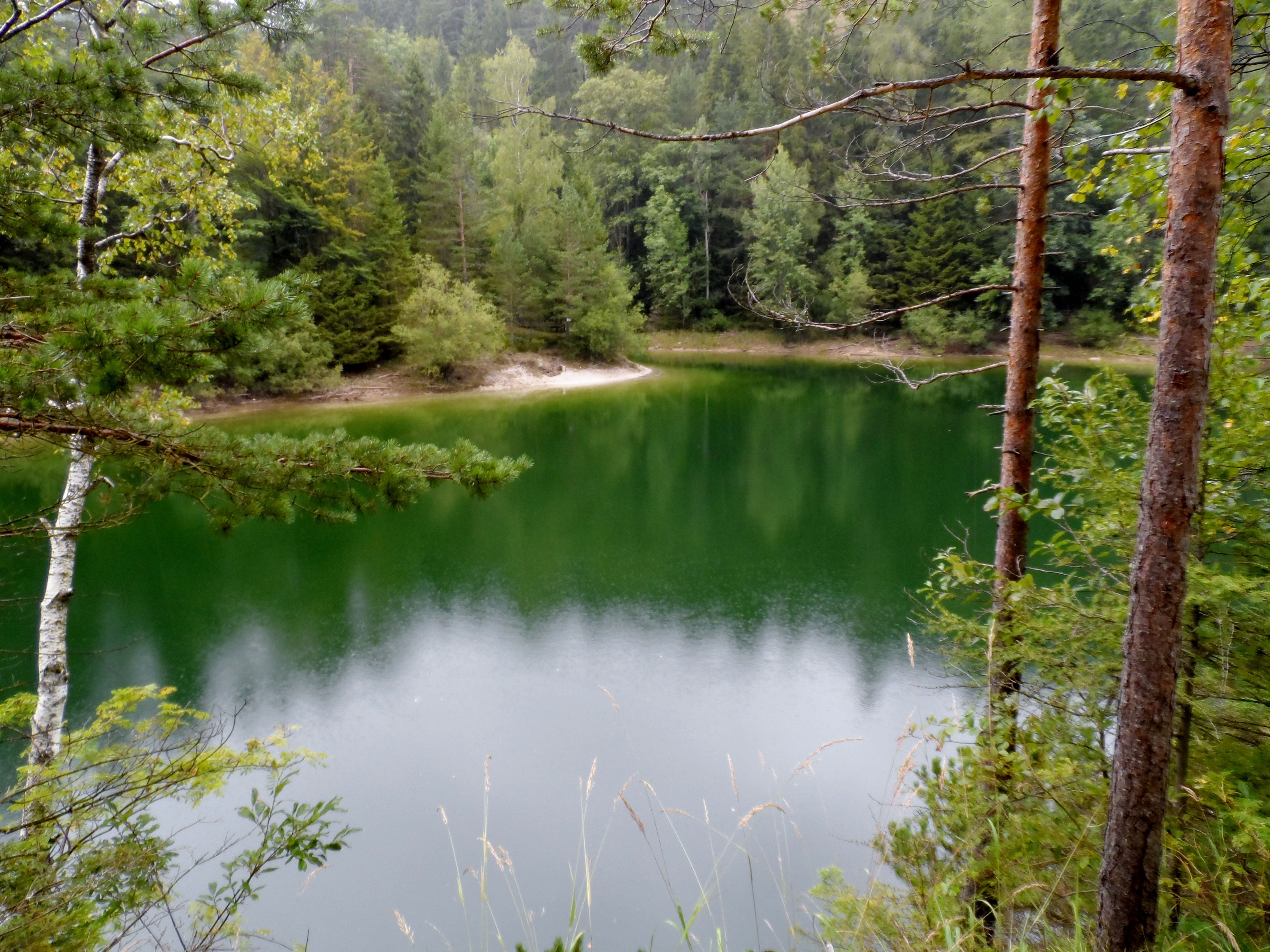 Zelené jezero obklopené stromy a lesy.