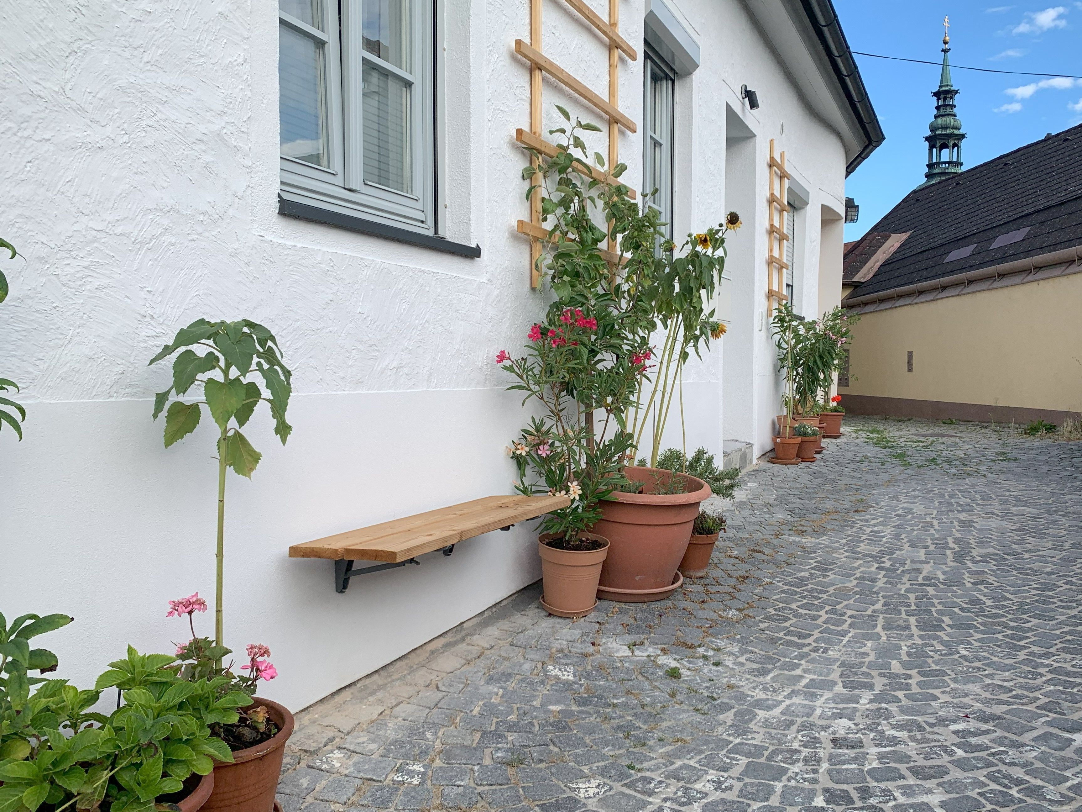 Vydlážděná cesta s rostlinami v květináčích před bílou budovou.