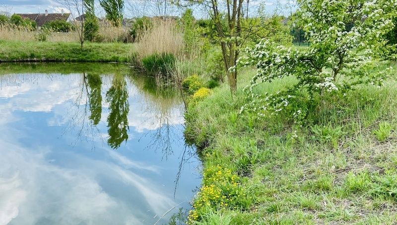 Vodní svět Watzelsdorf