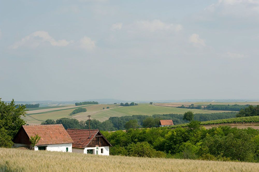 Krajina s poli, stromy a dvěma malými domky s červenými střechami.