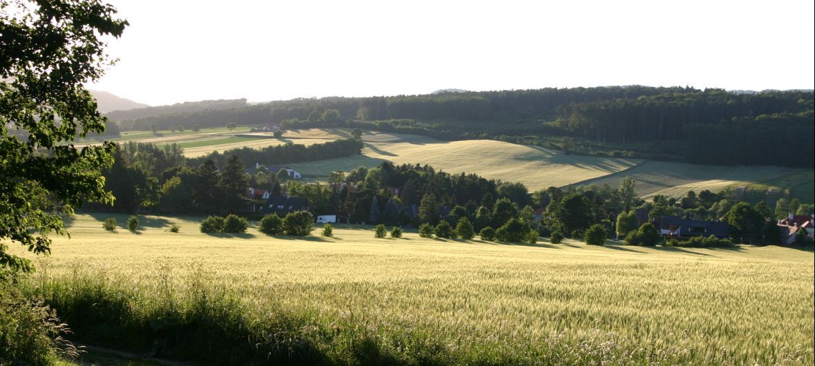 Krajina s poli, stromy a domy v pozadí.