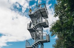 Detail červených bobulí na holé větvi se sněhem v pozadí.