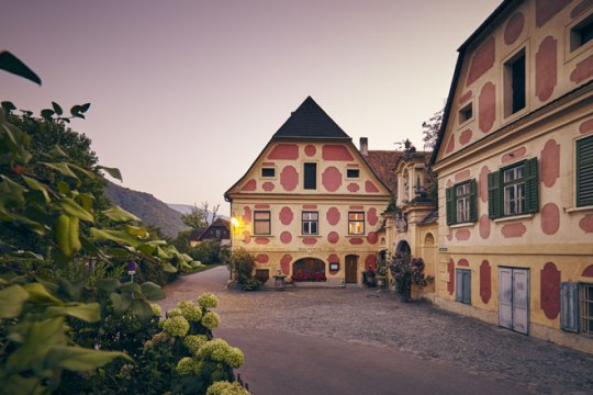 Weingut Holzapfel, Joching/Wachau, © Niederösterreich-Werbung/Andreas Hofer