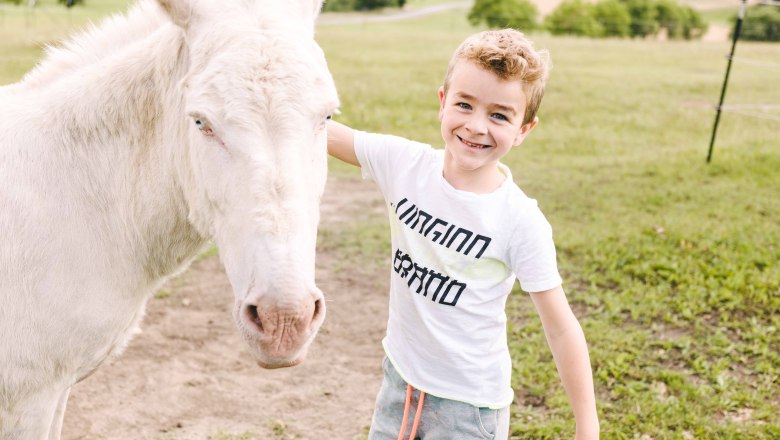 Wachau donkey adventure, &copy; Nieder&ouml;sterreich Werbung / Stefan F&uuml;rtbauer