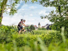 Vorbei an der Burg Feistritz, &copy; Wiener Alpen in Nieder&ouml;sterreich