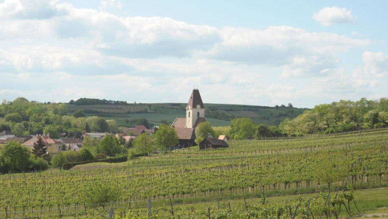 Vineyards at the Pleyel Museum, © IPG