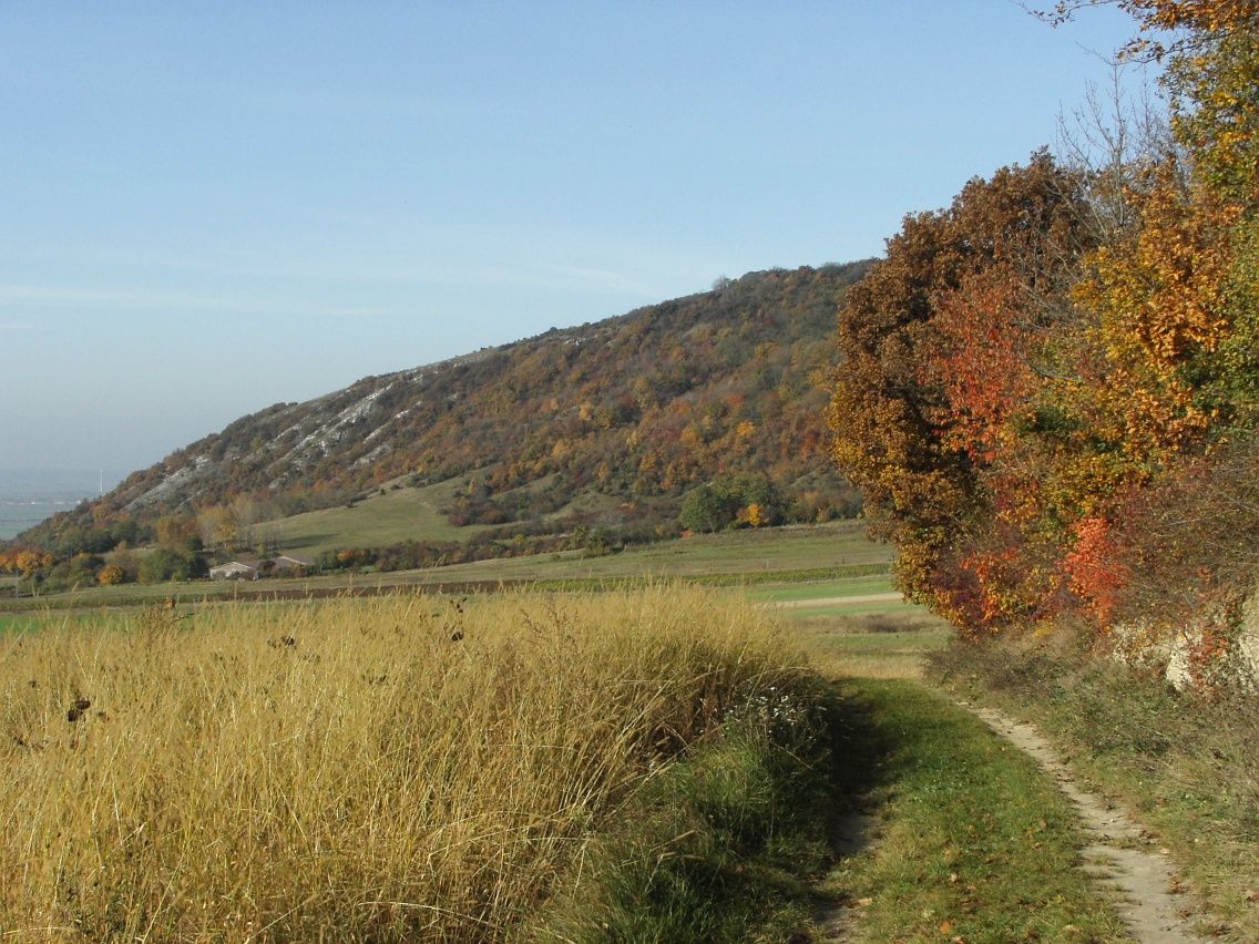 Pohoří Hundsheim