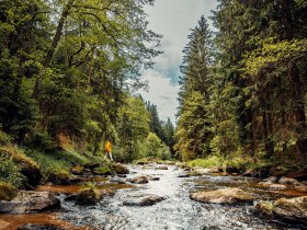 Zertifizierte Wanderd&ouml;rfer, Auf Hundertwassers Spuren, Kamptal zwischen Zwettl und Roiten, &copy; &Ouml;sterreichs Wanderd&ouml;rfer, Creative Jungle Herunterladen
