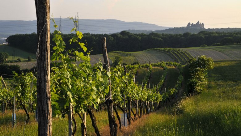 Weinviertelské vinice, hrad Kreuzenstein, © Weinviertel Tourismus/Mandl