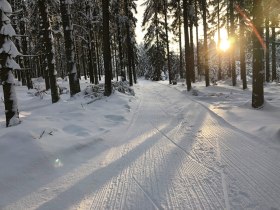 Langlaufen in B&auml;rnkopf, &copy; Waldviertel Tourismus