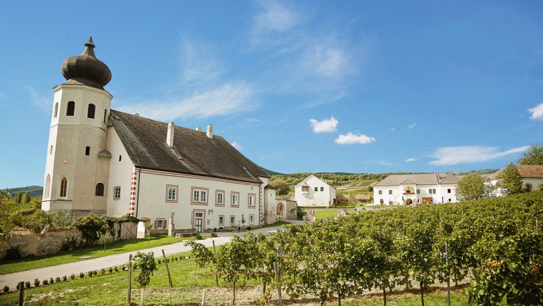 Vinařství Freigut Thallern v Gumpoldskirchenu, © Roman Seidl