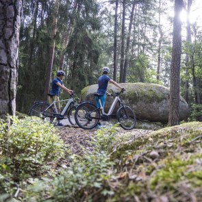 Viklany v Blockheide Gmünd, © Naturparke Niederösterreich/Robert Herbst