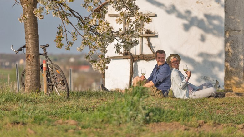 Vítání jara ve vinohradech… (In die Grean gehn´…), © Weinviertel Tourismus/Astrid Bartl