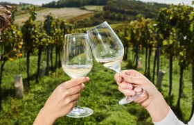 Toasting in the vineyard, © Weinviertel Tourismus / Michael Liebert
