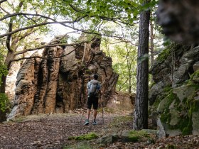 Dunkelsteinerwald, &copy; Wachau-Nibelungengau-Kremstal