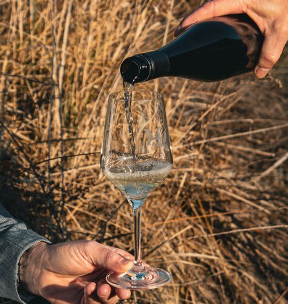 Vinařstv&iacute; Riedl_03, &copy; Weingut Riedl