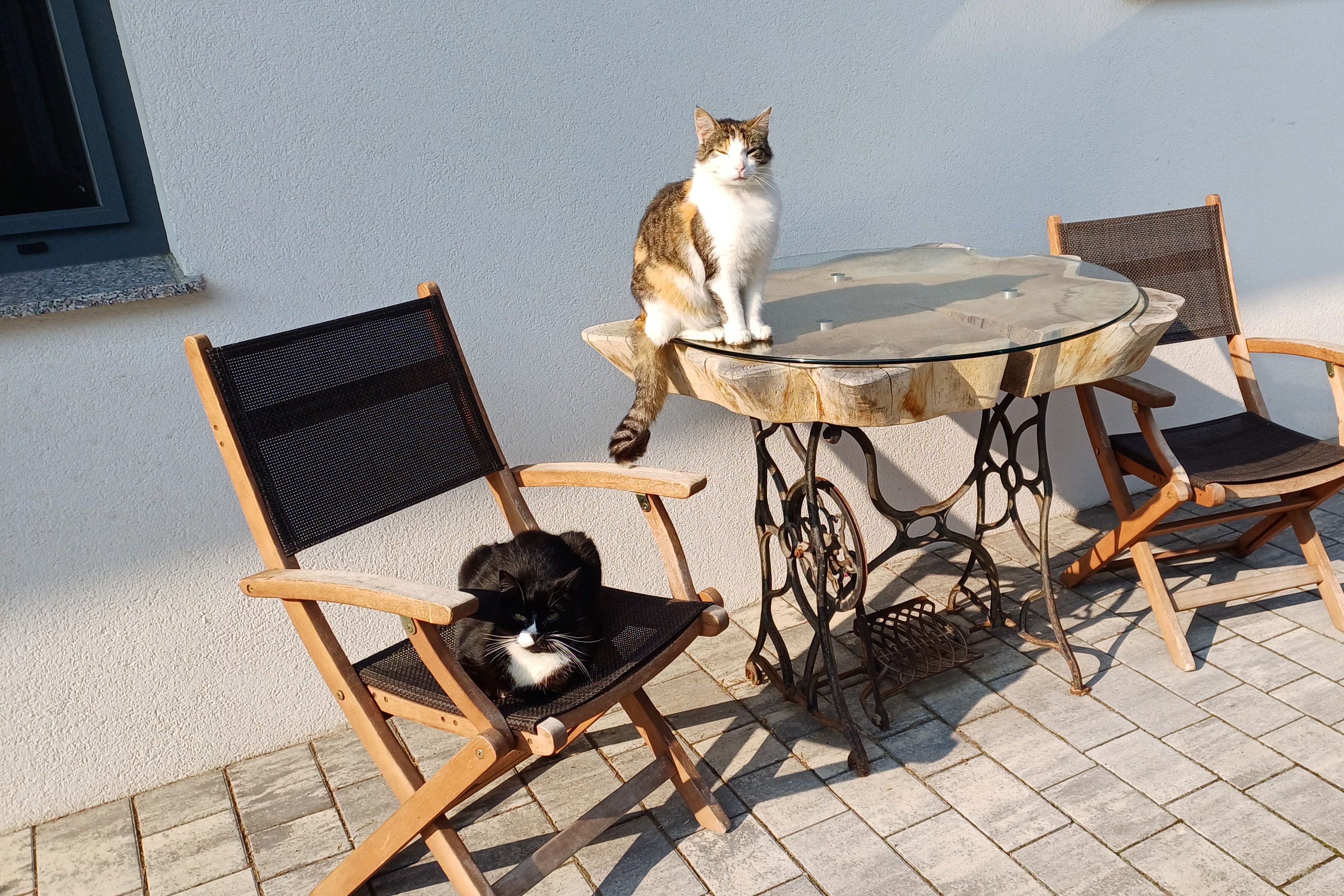 Schnurli a Lilly
