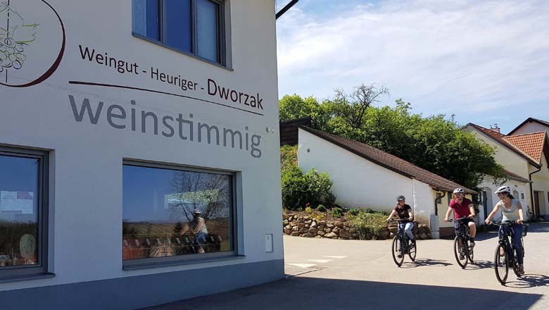E-bike rental Weinstimmig, © Weinstimmig Dworzak