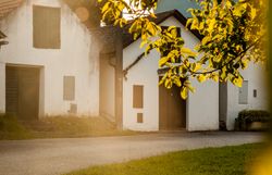 Zelená vinice a turistická značka s nápisem "sklepní uličky Arbesthal". 