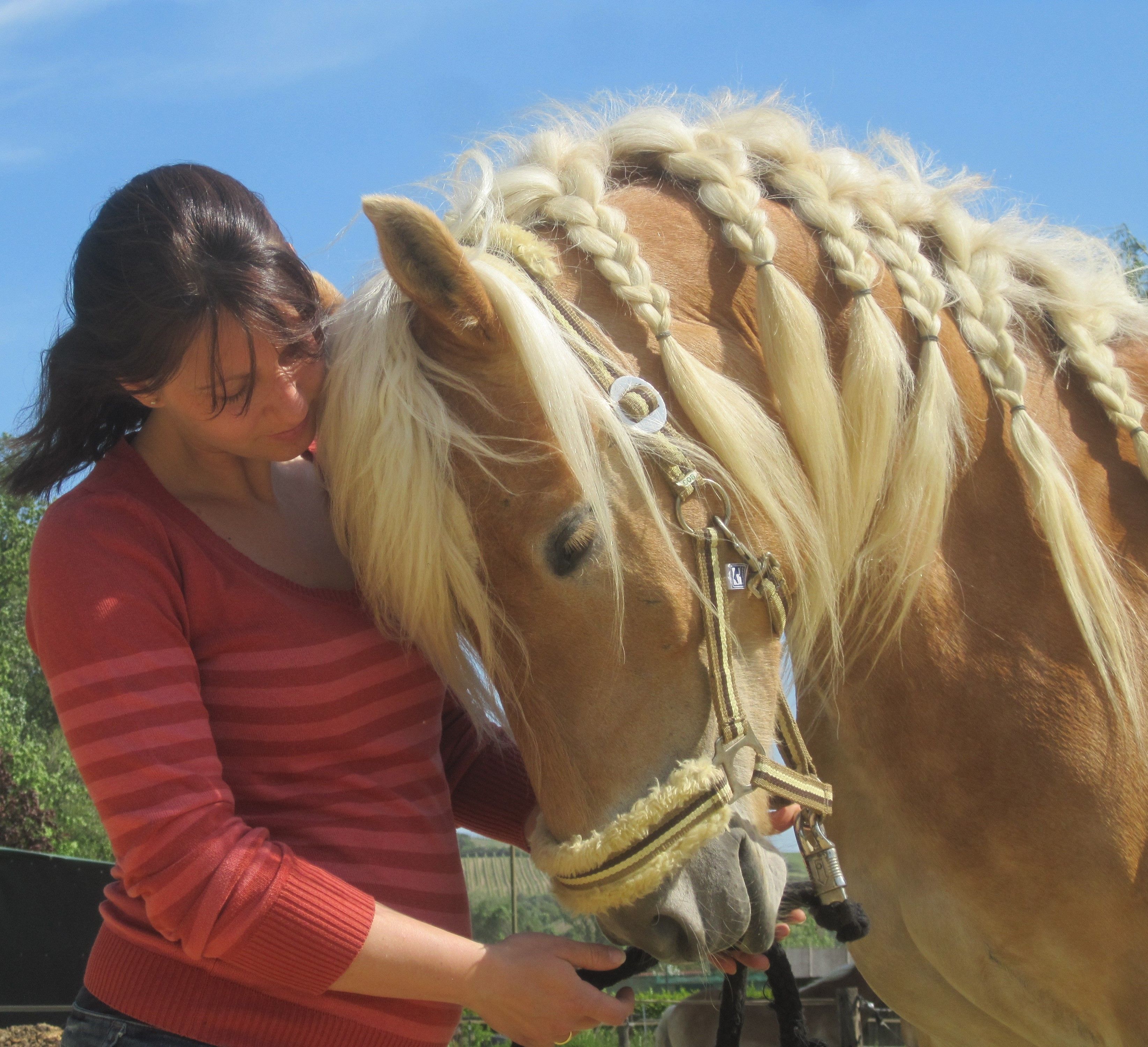 Žena v červeném svetru stojí vedle koně s pletenou hřívou.