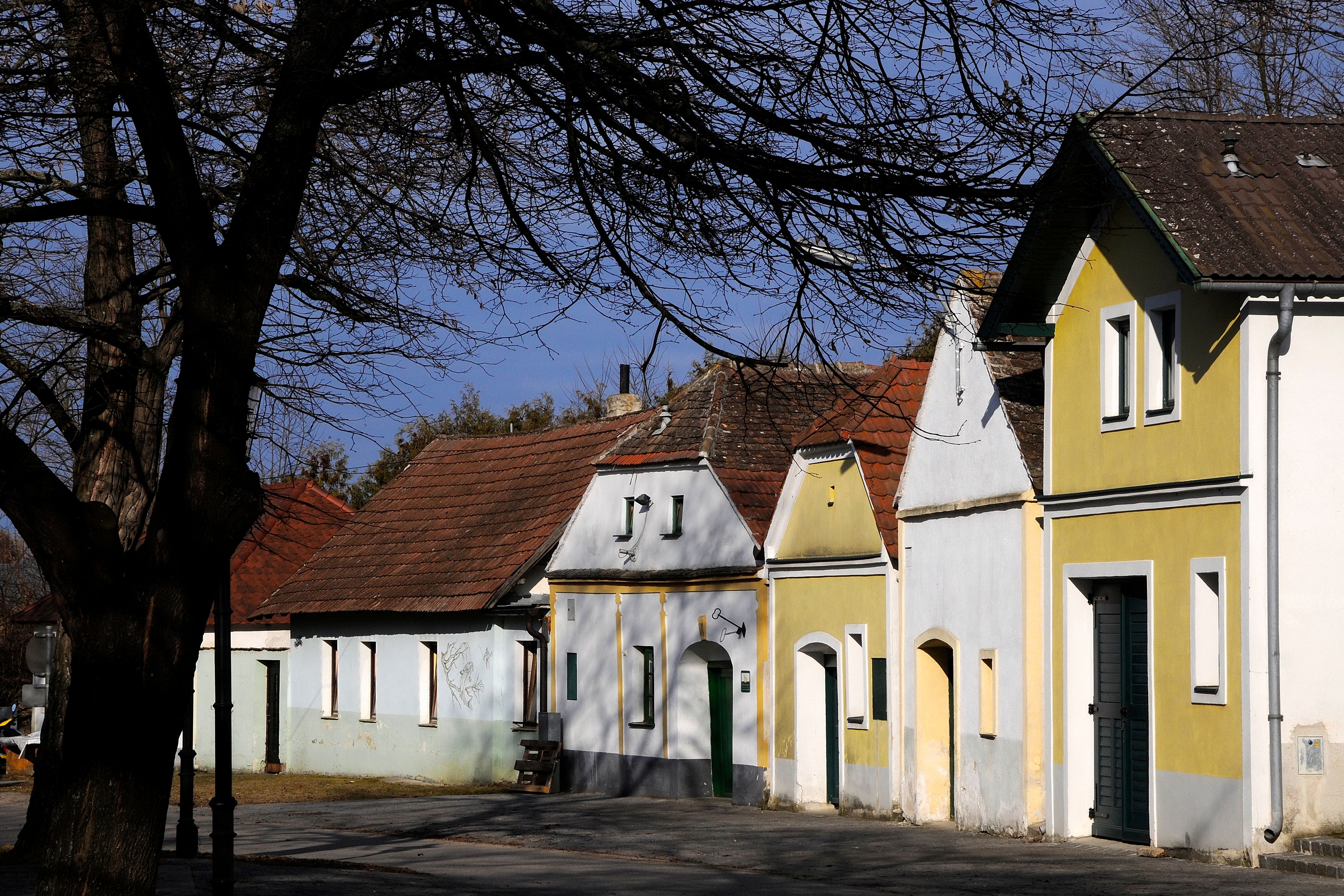 Řada tradičních vinných sklepů v sklepních uličkách Nappersdorf, obklopená holými stromy a modrou oblohou.