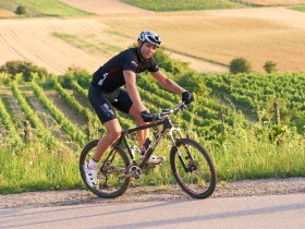Radfahren im Weinviertel, © Weinviertel Tourismus / Schreiner