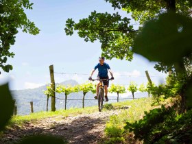 Mountainbiker hoch oben mit Aussicht, &copy; Donau N&Ouml; Tourismus/Barbara Elser