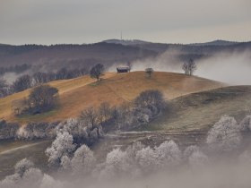 Winterwandern, &copy; Wienerwald Tourismus GmbH / Andreas Hofer